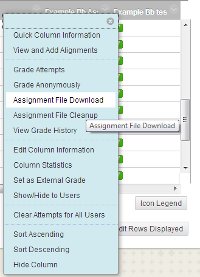 Selecting Assignment File Download