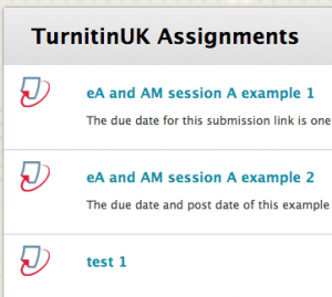 Selecting the TurnItIn Assignment