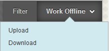 The work offline button