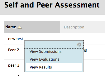 self and peer assessment