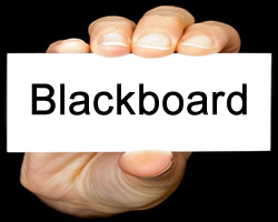 Link to Blackboard help guides