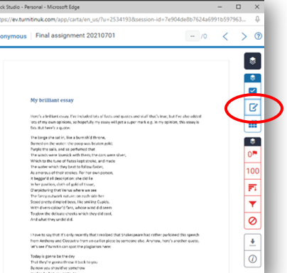 In staff Turnitin view of an assignment, the Feedback Summary icon is highlighted