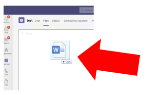 Word doc icon visible within Files tab on MS Team meeting.