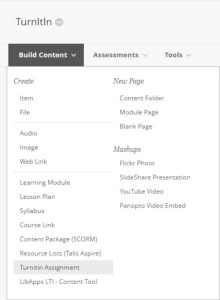 Selecting TurnItIn Assignment from the Build Content menu